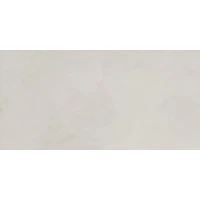 Керамогранит х9999297767 Эволюшн Бланко белый 60х119,5 Матовый Карвинг