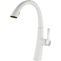 Смеситель для кухни Elghansa Kitchen Color 56X2924-Jasmine