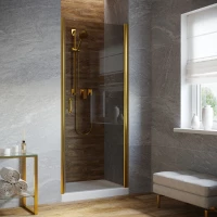 Душевая дверь Vegas Glass EP LUX 60 09 07 R 60 см R, профиль золотой, стекло графитовое