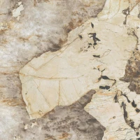 Керамогранит AFXM Marvel Desert Soul Lappato 120x120