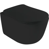 Унитаз подвесной AXA Eva A-Sound WCWH8801707 безободковый, с сиденьем микролифт, черный матовый